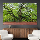 Framed Angel Oak Tree Wall Art - 3-Panel Canvas Prints,