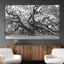 Black White Angel Oak Tree Wall Art - Timeless