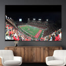 Houston Cougars Football Team Print - Houston TDECU Stadium