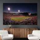 Virginia Cavaliers Football Team Print - Charlottesville