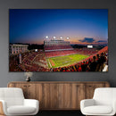 Wolfpack Football Team Wall Art Print - Raleigh
