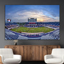 Florida Atlantic University Owls Football Team Print - Boca by MyGreatCanvas | Canvas Wall Art Prints | Photo Prints & Wall Decor