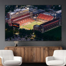 University of Illinois Fighting Illini Football Team Print -