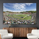 University of Charlotte 49ers Football Team Print - by MyGreatCanvas | Canvas Wall Art Prints | Photo Prints & Wall Decor