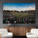 University of Charlotte 49ers Football Team Print - by MyGreatCanvas | Canvas Wall Art Prints | Photo Prints & Wall Decor