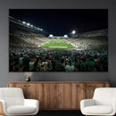 Framed Michigan State Spartans Football Team Print - East