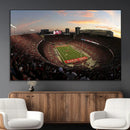 Ohio State University Buckeyes Football Team Print -