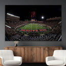 Framed Texas Tech Red Raiders Stadium Canvas, Texas Tech Red by MyGreatCanvas | Canvas Wall Art Prints | Photo Prints & Wall Decor