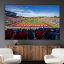 Ball State Cardinals Football Team Print - Muncie Scheumann