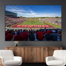 Ball State Cardinals Football Team Print - Muncie Scheumann