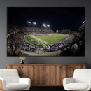 TCU Horned Frogs Football Team Print - Fort Worth Amon G.