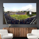 The Duke University Blue Devils Football Team Print - Durham
