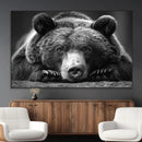 Resting Grizzly 399 Bear Canvas Print | Ready to Hang Wall