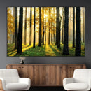 Sunlit Forest Wall Art Canvas Print – Large Framed Woodland