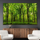 Lush Green Forest Canvas Print | 3-Panel Forest Wall Art | by MyGreatCanvas | Canvas Wall Art Prints | Photo Prints & Wall Decor