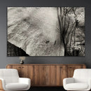 Elephant Wall Art Canvas Print