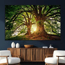 Majestic Ancient Tree Wall Art, NatureCanvas Print, Woodland by MyGreatCanvas | Canvas Wall Art Prints | Photo Prints & Wall Decor