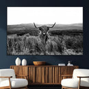 Black and White Highland Cow Canvas Wall Art, Longhorn by MyGreatCanvas | Canvas Wall Art Prints | Photo Prints & Wall Decor
