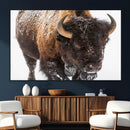 Bison Wall Art Canvas Print For Farmhouse, Wild Animal Wall by MyGreatCanvas | Canvas Wall Art Prints | Photo Prints & Wall Decor