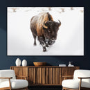 Bison Winter Wall Art Canvas Print For Farmhouse Decor