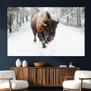 Bison Wall Art Canvas Print For Farmhouse, Animal Canvas