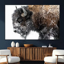 American Bison Wall Art Print – Majestic Buffalo Canvas