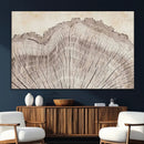 Tree Ring Wall Art Triptych, Rustic Wood Ring Canvas Print,