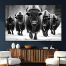 American Bison Art | Buffalo Herd Wall Art Canvas Print, BW