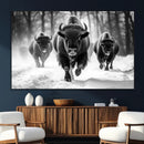 Buffalo Wall Art Canvas Print, Bison Family Wall Art Canvas by MyGreatCanvas | Canvas Wall Art Prints | Photo Prints & Wall Decor