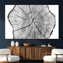 Rustic Tree Ring Wall Art Canvas Print – Framed and Ready to