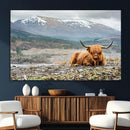 Highland Cow Horn Farm Wall Art Canvas Print