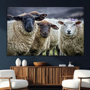 Charming Sheep Portrait Wall Art – Trio of Woolly Companions by MyGreatCanvas | Canvas Wall Art Prints | Photo Prints & Wall Decor
