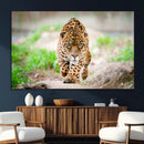 Leopard on the Prowl - Stunning Large Framed Leopard Wall