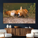 Sleeping Fox Wall Art Canvas Print, Farmhouse Wall Decor and