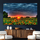 Golden Sunflower Field at Sunset – Breathtaking Sky and