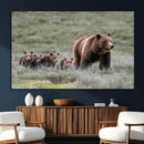 Wildlife Photography of 399 Grizzly Bear Cubs | Queen of the
