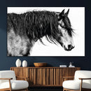 Black Horse Wall Art Canvas Print – Elegant Farmhouse Decor