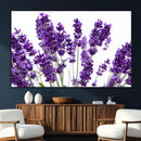 Lavender Flower Wall Art Canvas Print by MyGreatCanvas | Canvas Wall Art Prints | Photo Prints & Wall Decor