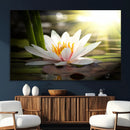 Lotus Flower Wall Art Canvas Print, Water Lily Large Wall
