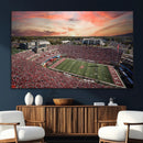 Indiana Memorial Stadium Wall Art Canvas Print, Framed