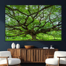 Ancient Tree Wall Art Canvas Print, Framed Sprawling by MyGreatCanvas | Canvas Wall Art Prints | Photo Prints & Wall Decor