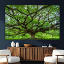 Angel Oak Tree Wall Art Canvas Print – Framed Majestic
