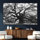 Ancient Oak Wall Art Canvas Print – Gnarled Tree Twisted by MyGreatCanvas | Canvas Wall Art Prints | Photo Prints & Wall Decor