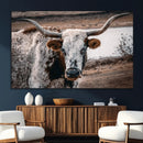 Texas Longhorn Wall Art Canvas Print – Framed Spotted Bull