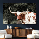 Texas Longhorn Wall Art Canvas Print – Framed Spotted Bull