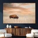MyCanvas -
