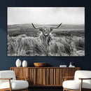 Monochrome Highland Cow Wall Art Canvas Print – Framed by MyGreatCanvas | Canvas Wall Art Prints | Photo Prints & Wall Decor