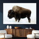 Bison Wall Art Canvas Print – Framed Western Wildlife