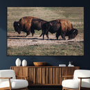 Bison Wall Art Canvas Print – Framed Western Wildlife Modern by MyGreatCanvas | Canvas Wall Art Prints | Photo Prints & Wall Decor