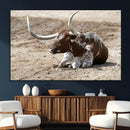 Texas Longhorn Wall Art Canvas Print – Framed Country Living